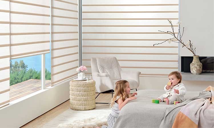 Hunter Douglas Dealer Image
